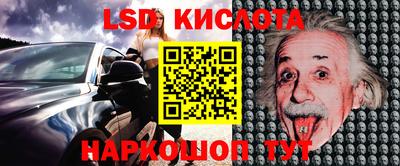 прущие грибы Краснокаменск