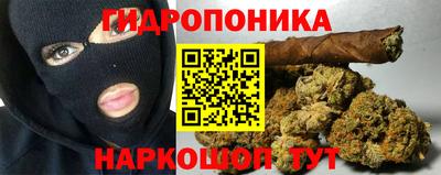 прущие грибы Краснокаменск