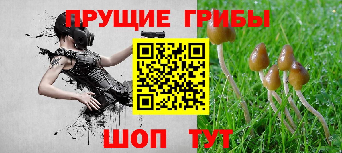 Галлюциногенные грибы ЛСД Кимовск